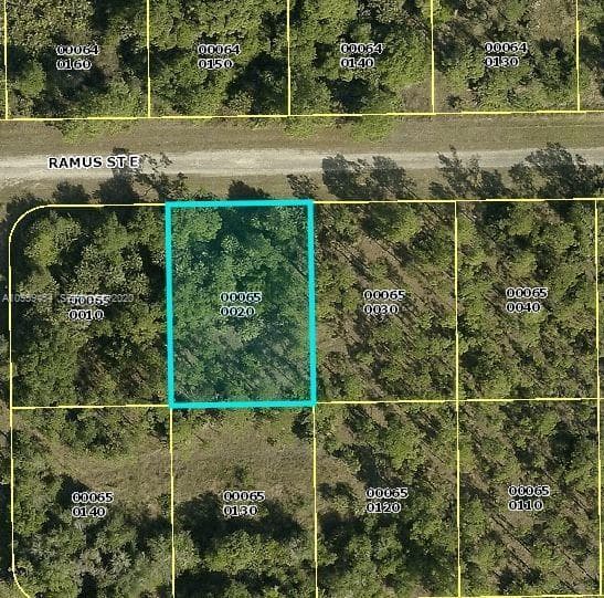1238 Ramus Street E, Lehigh Acres, FL 33974