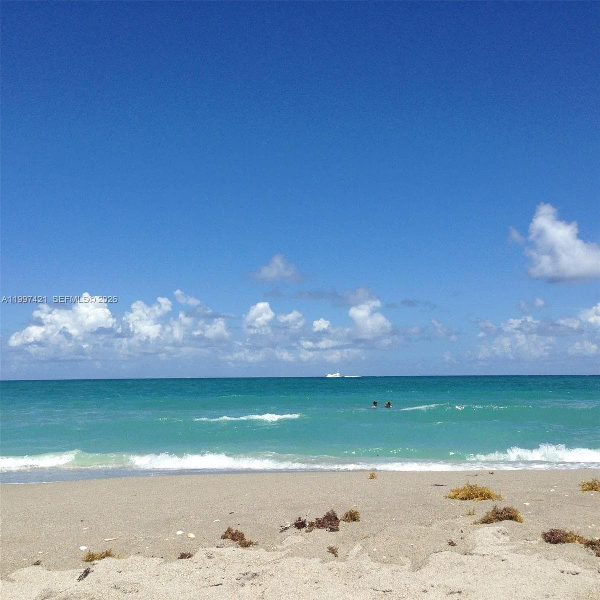 1920 Eucalyptus Ave, Hutchinson Island, FL 34949 photo 2