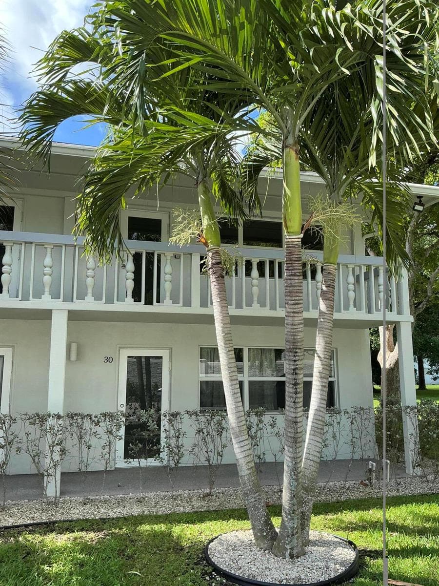 40 Ventnor Drive, Deerfield Beach, FL 33442 photo 3