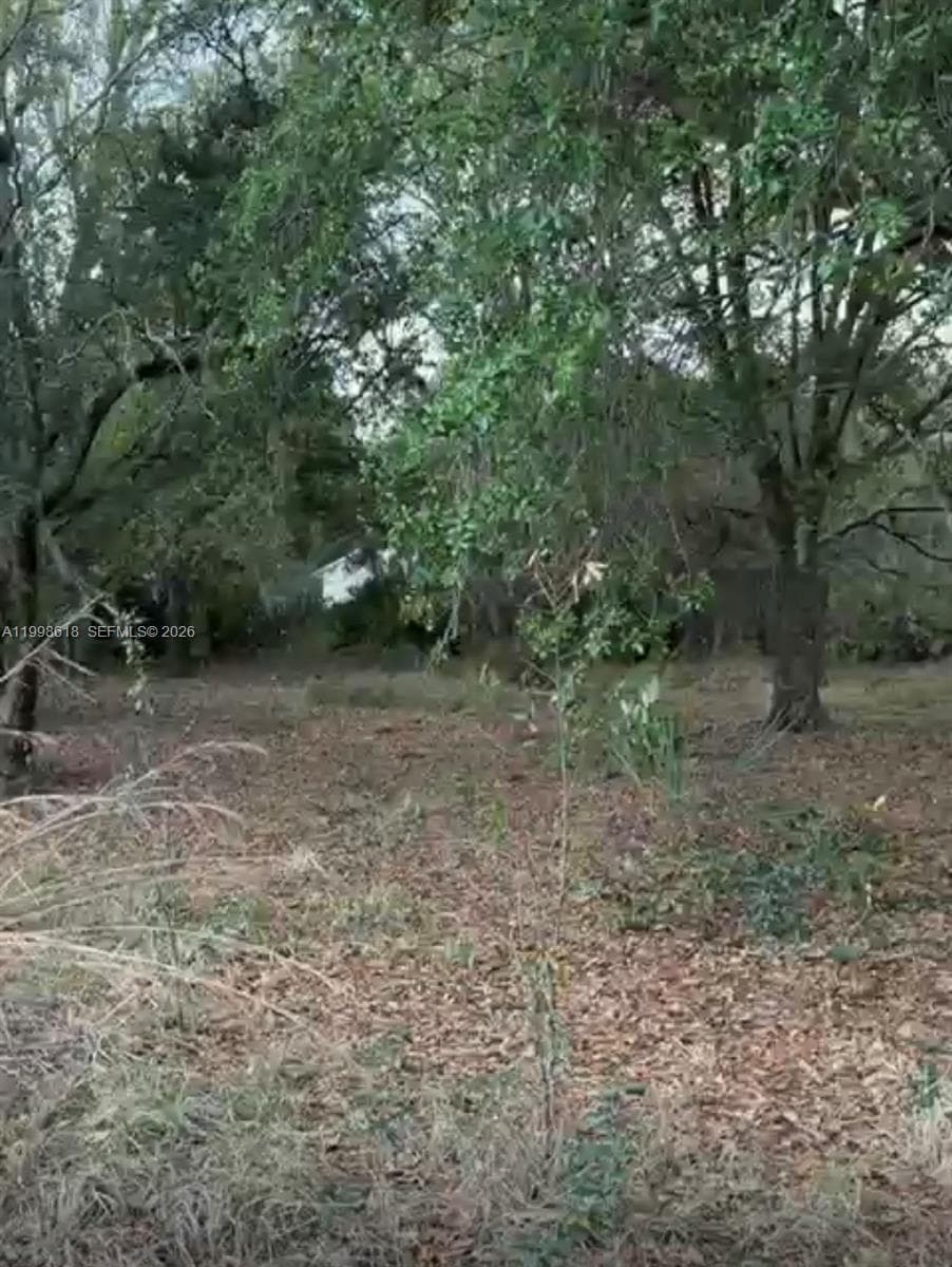 10800 S jefferson ave, Lake Placid, FL 33852 photo 2