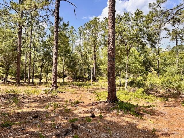 1116 Belmonte Drive, FL 33855 photo 2