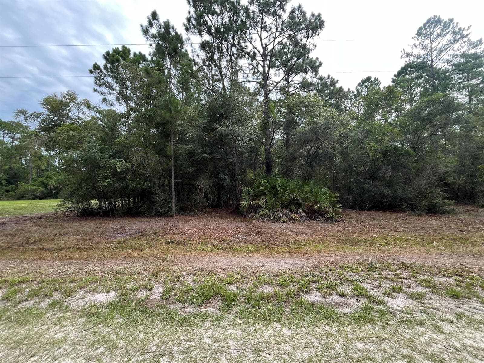 124 Glenside Street, FL 32139