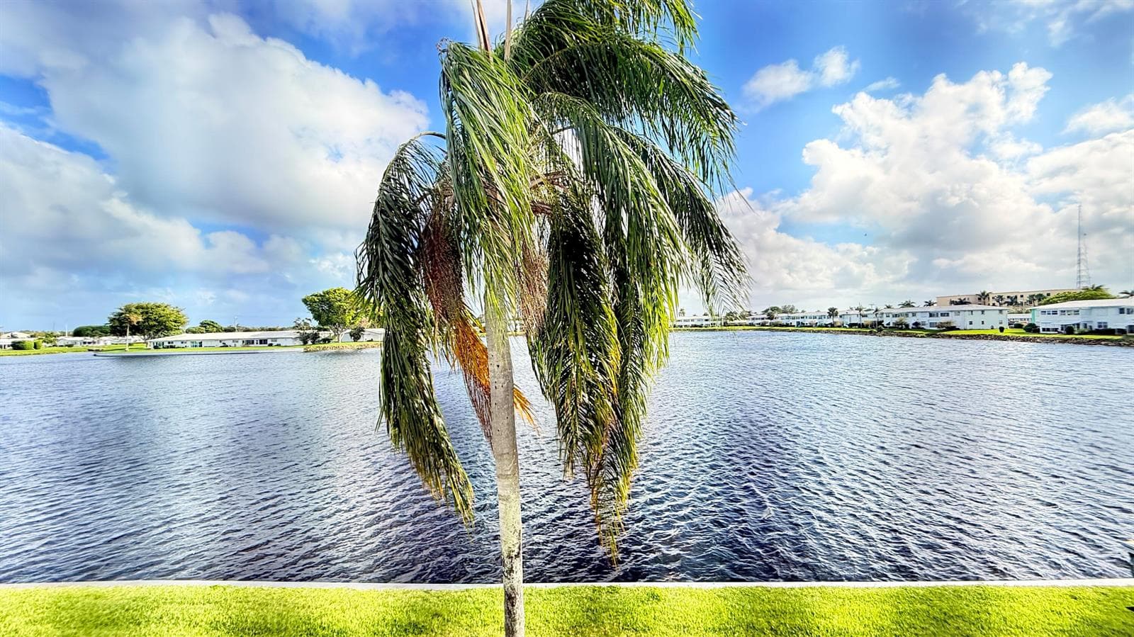 1114 Lake Terrace # 205, Boynton Beach, FL 33426 photo 3