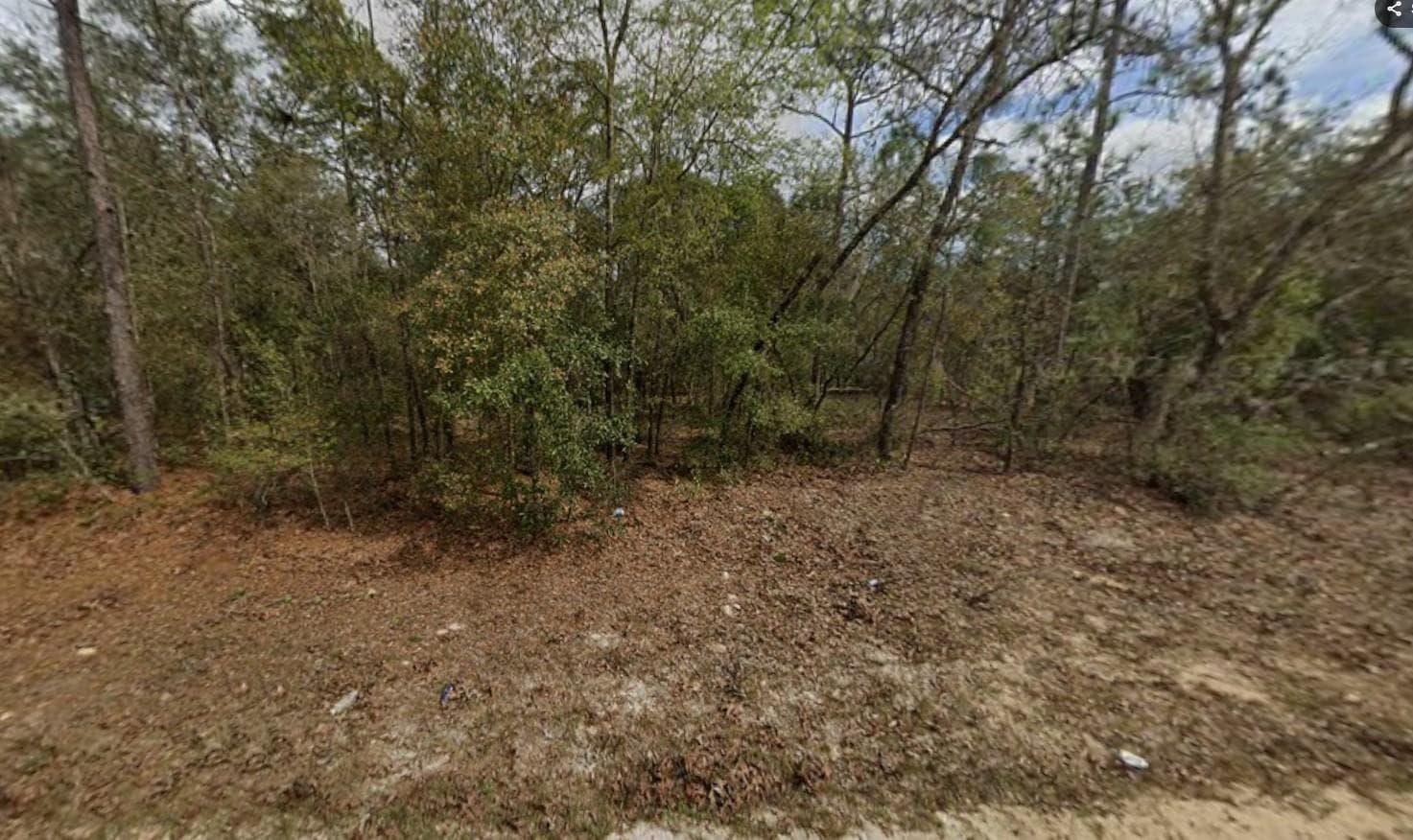 Lot 28 Janet Avenue, FL 32148