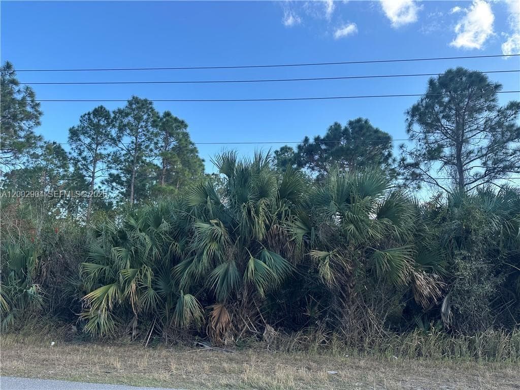 665 Woodcrest, Lehigh Acres, FL 33972
