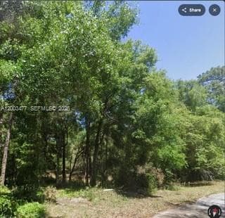 0 SW SW 97 PL, Dunnellon, Ocala, FL 34432 photo 5