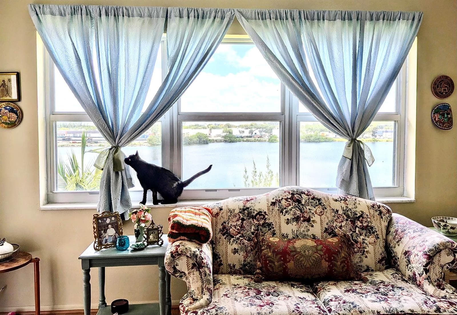 4311 Crystal Lake Drive # 407, Deerfield Beach, FL 33064 photo 4