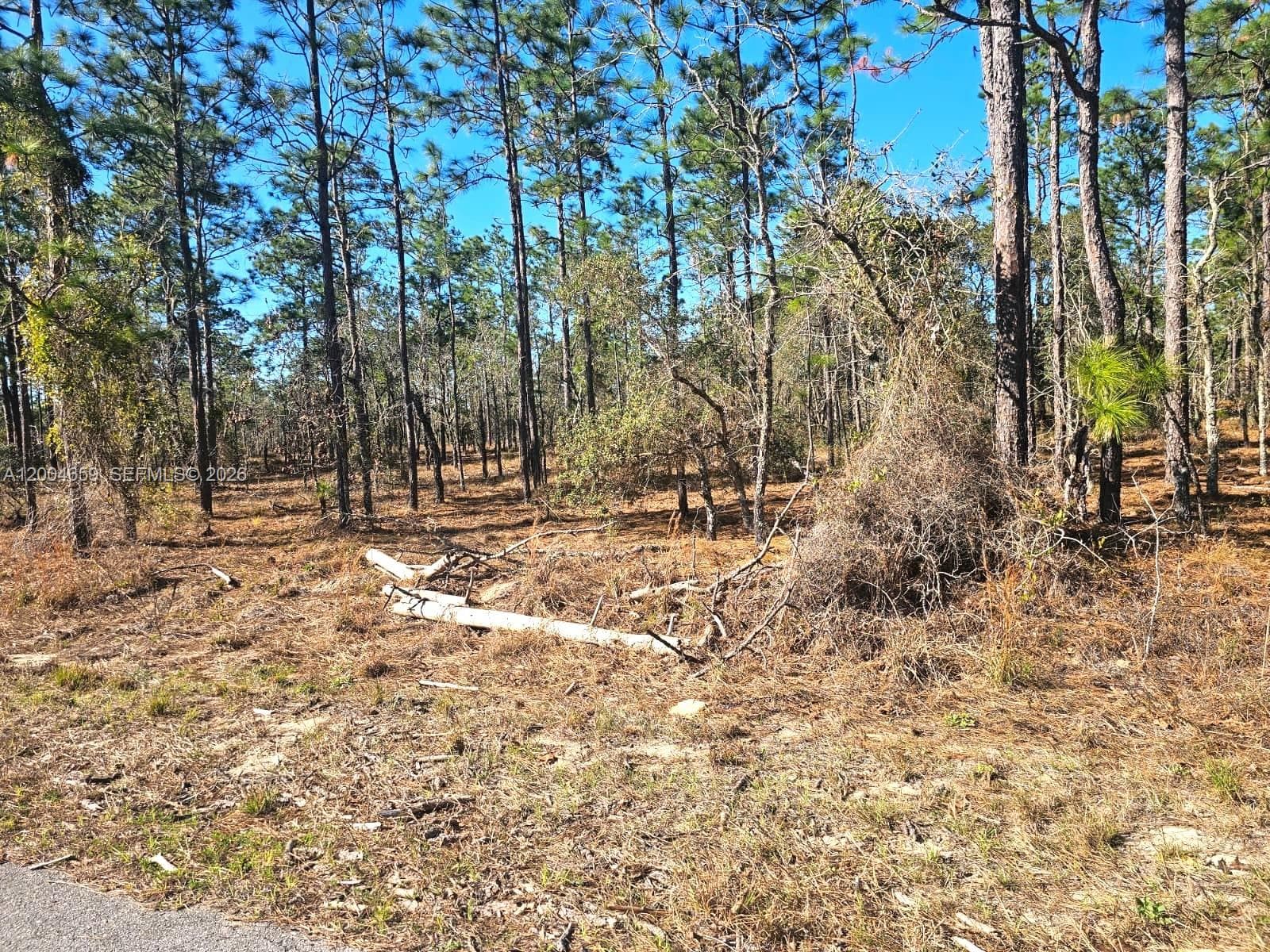 NO Situs NW Shamrock AVE, Other City - In The State Of Florida, FL 34431
