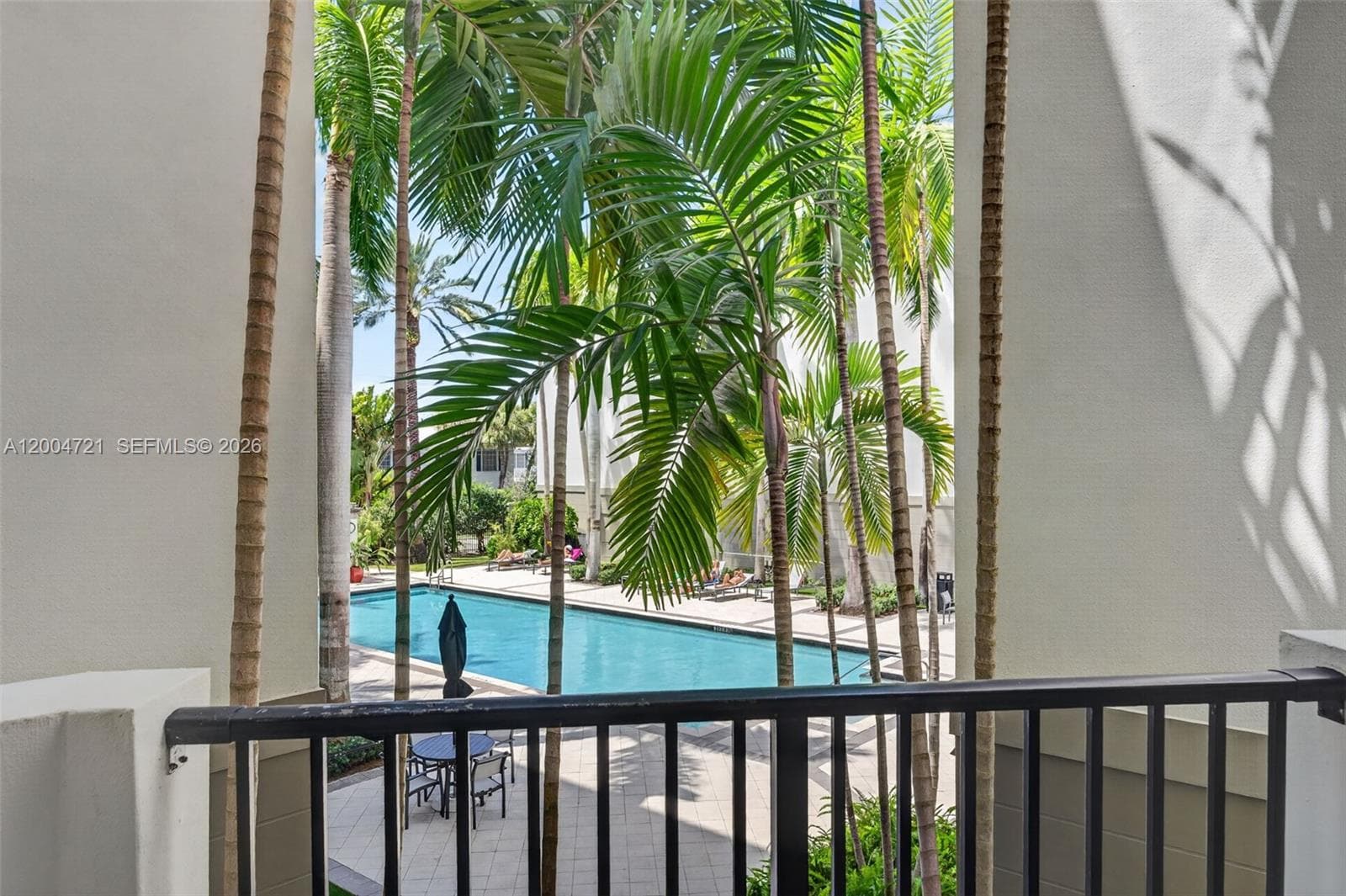 2401 NE 65th St # 205, Fort Lauderdale, FL 33308 photo 5