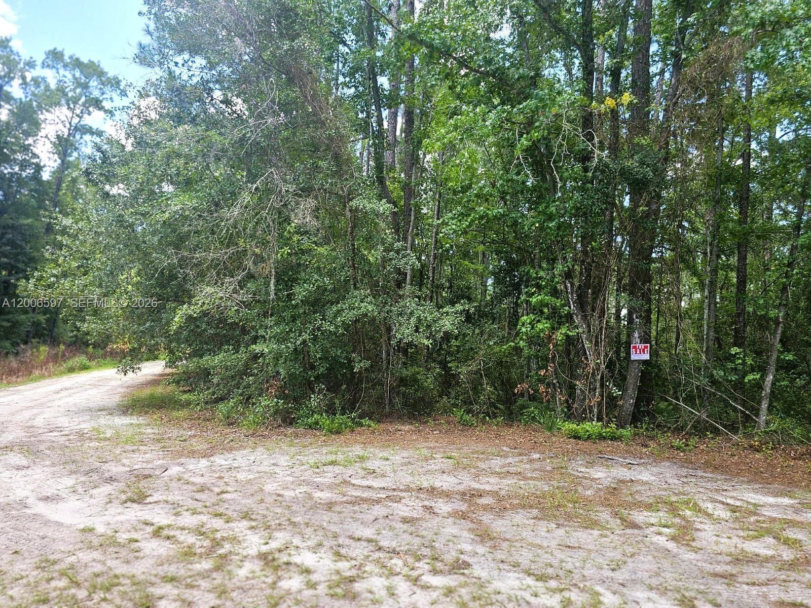 No situs SE 2nd ST, Palatka, FL 32177