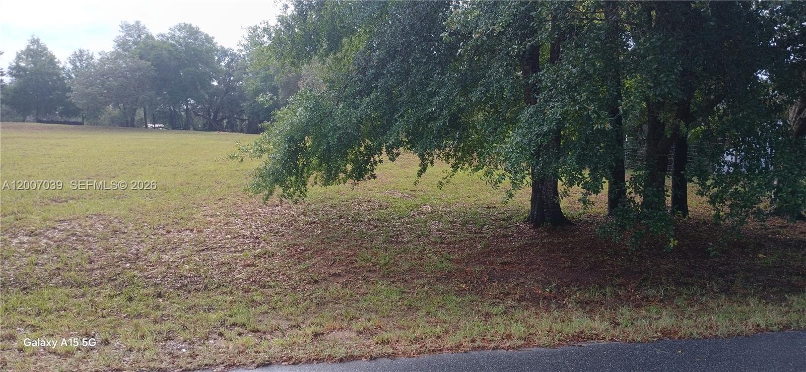 10233 S Appaloosa Ave, Other City - In The State Of Florida, FL 34436
