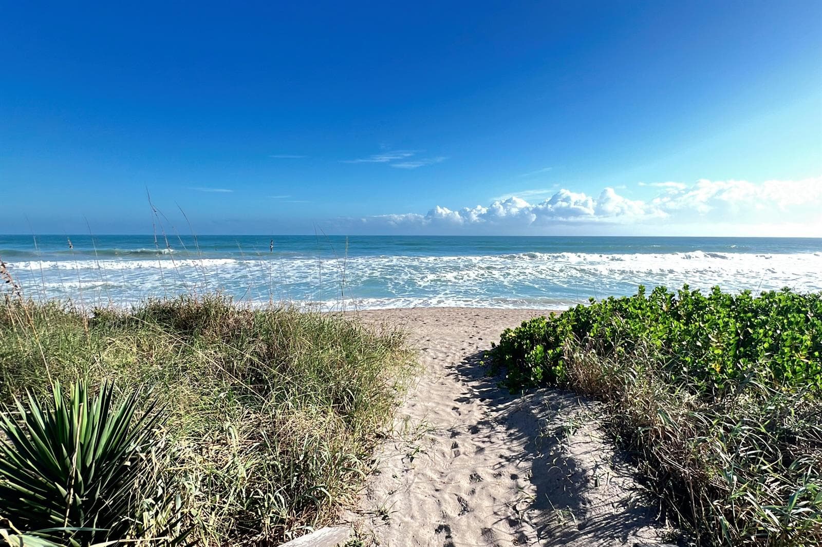 3541 NE Ocean Boulevard NE # 15, Hutchinson Island, FL 34957 photo 5