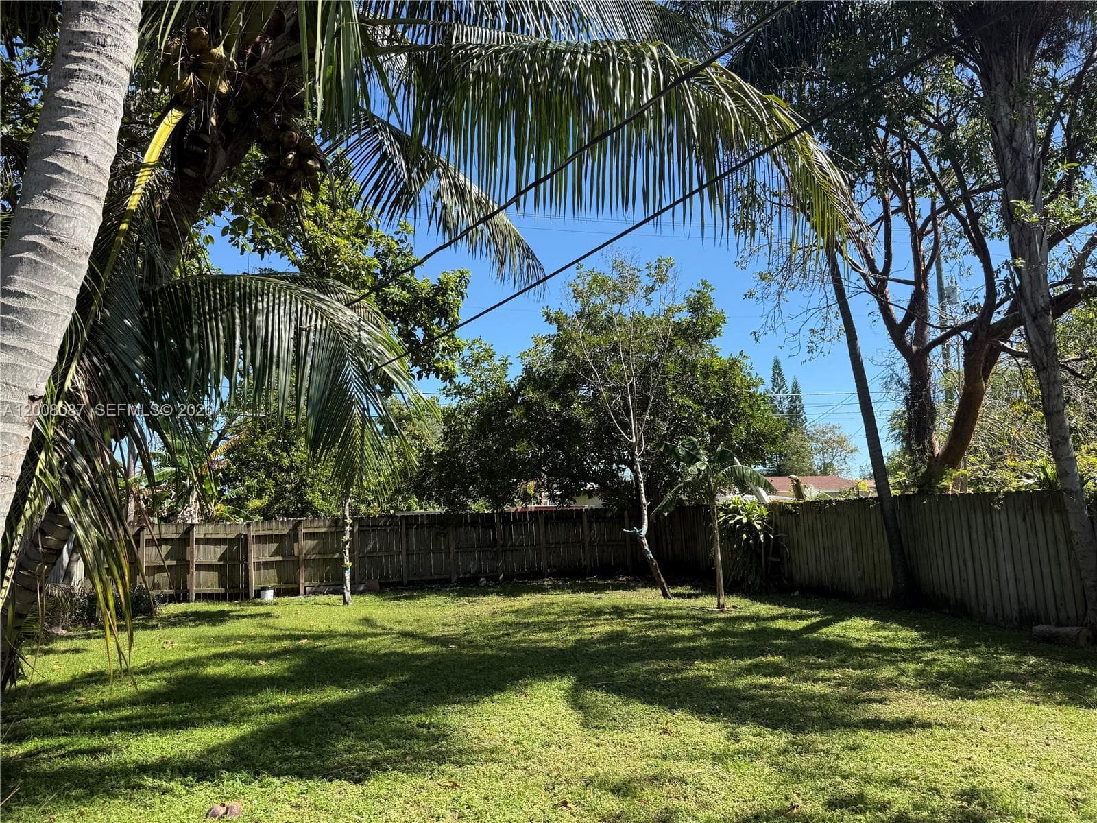 2323 Cleveland St, Hollywood, FL 33020 photo 3