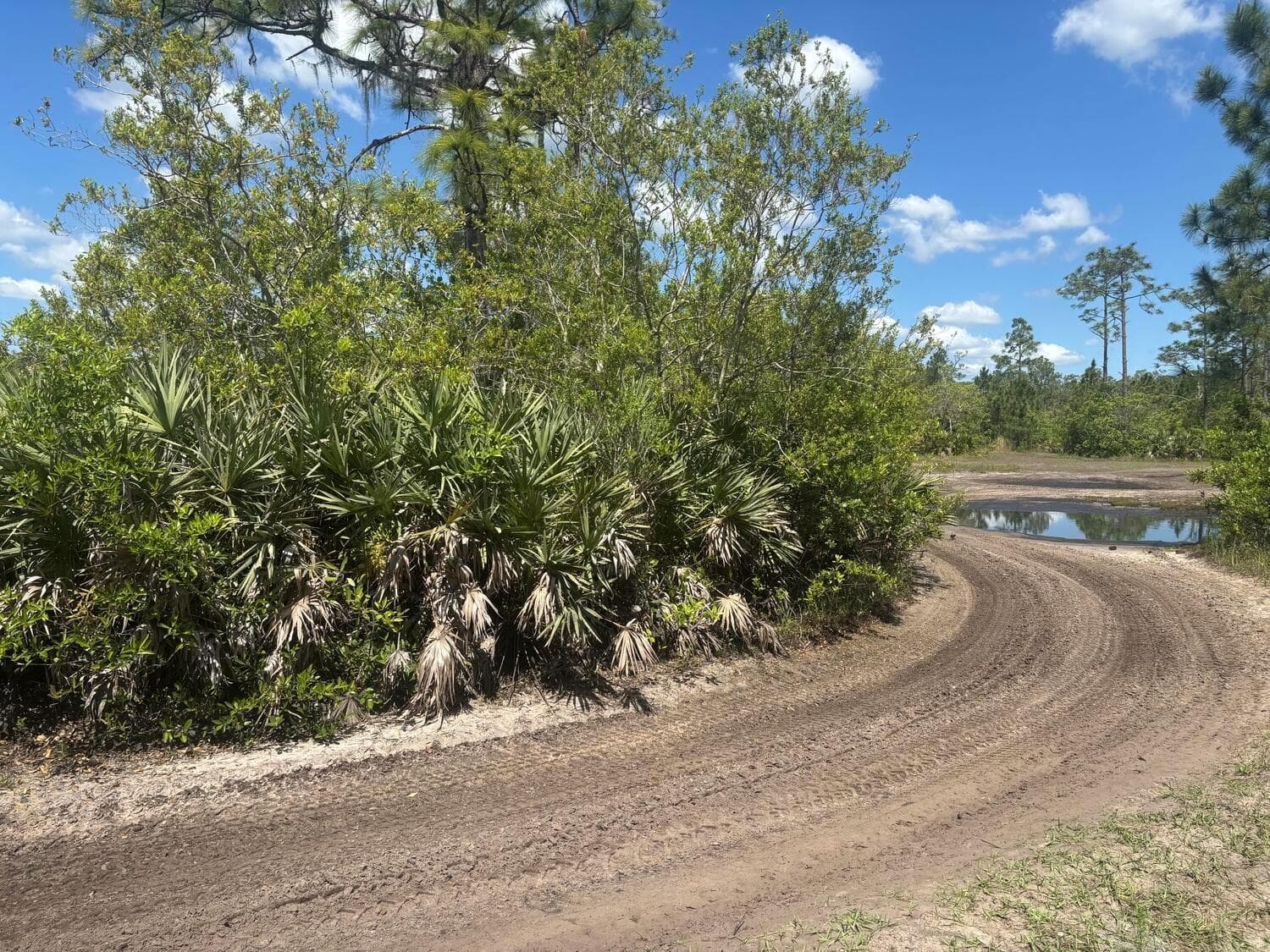 0 Holopaw Groves Road, FL 34772 photo 2
