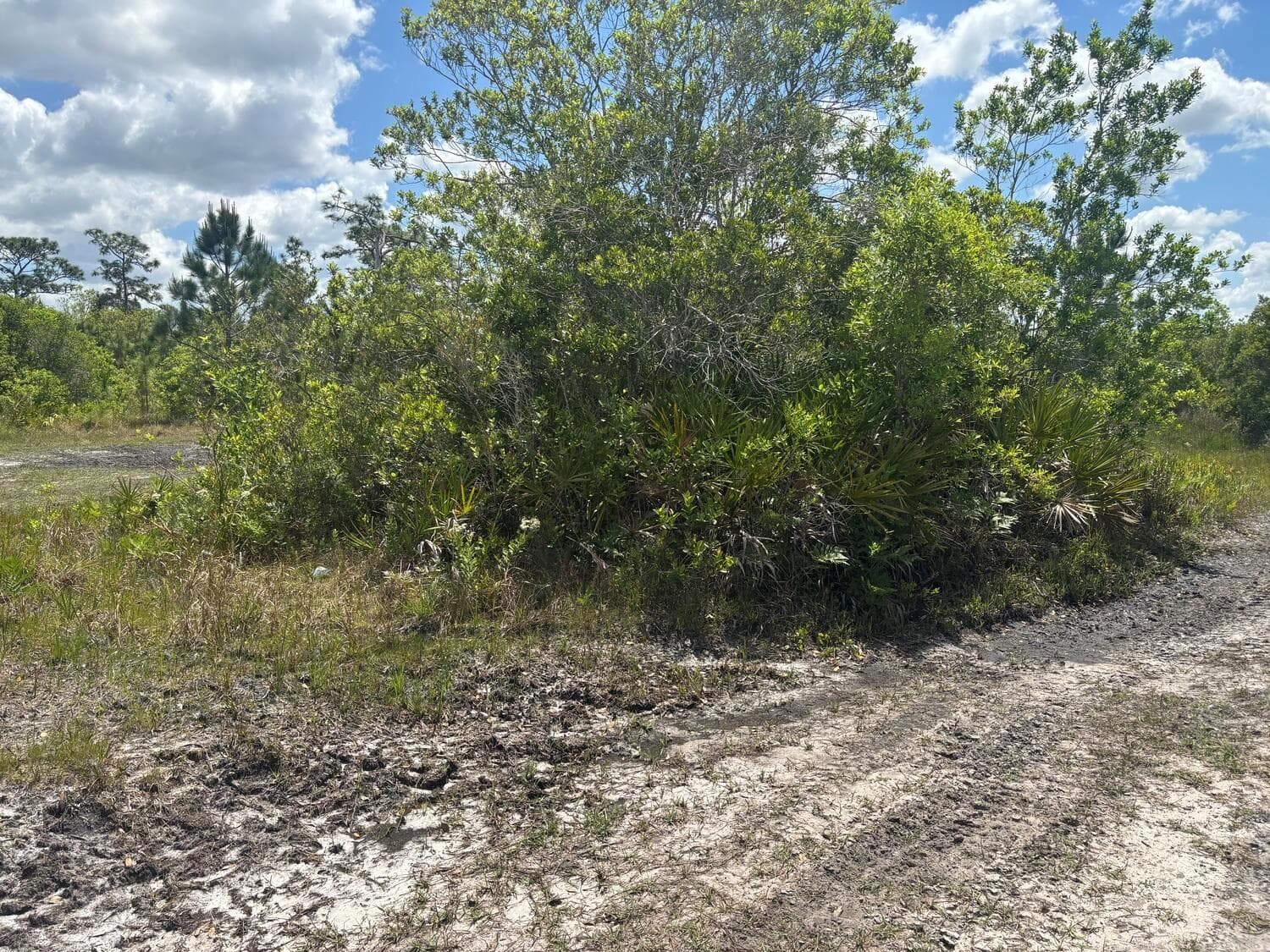 0 Holopaw Groves Road, FL 34772 photo 2