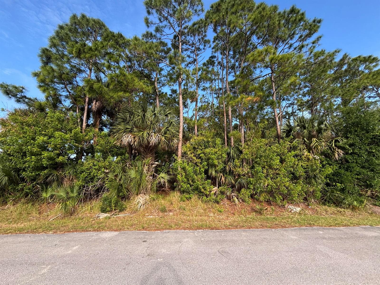 556 NE Burlington Ave Avenue NE, Palm Bay, FL 32907