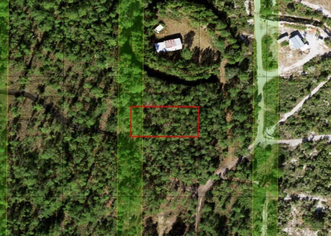 0 Holopaw Groves Road, FL 34772 photo 3