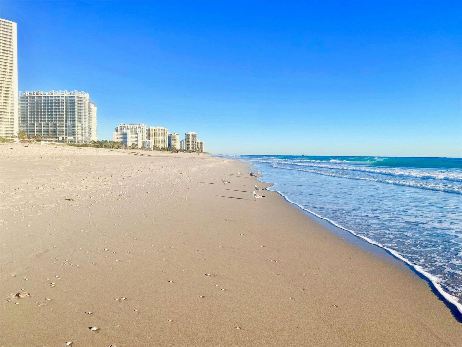 4100 N Ocean Drive # 803, Singer Island, FL 33404 photo 3