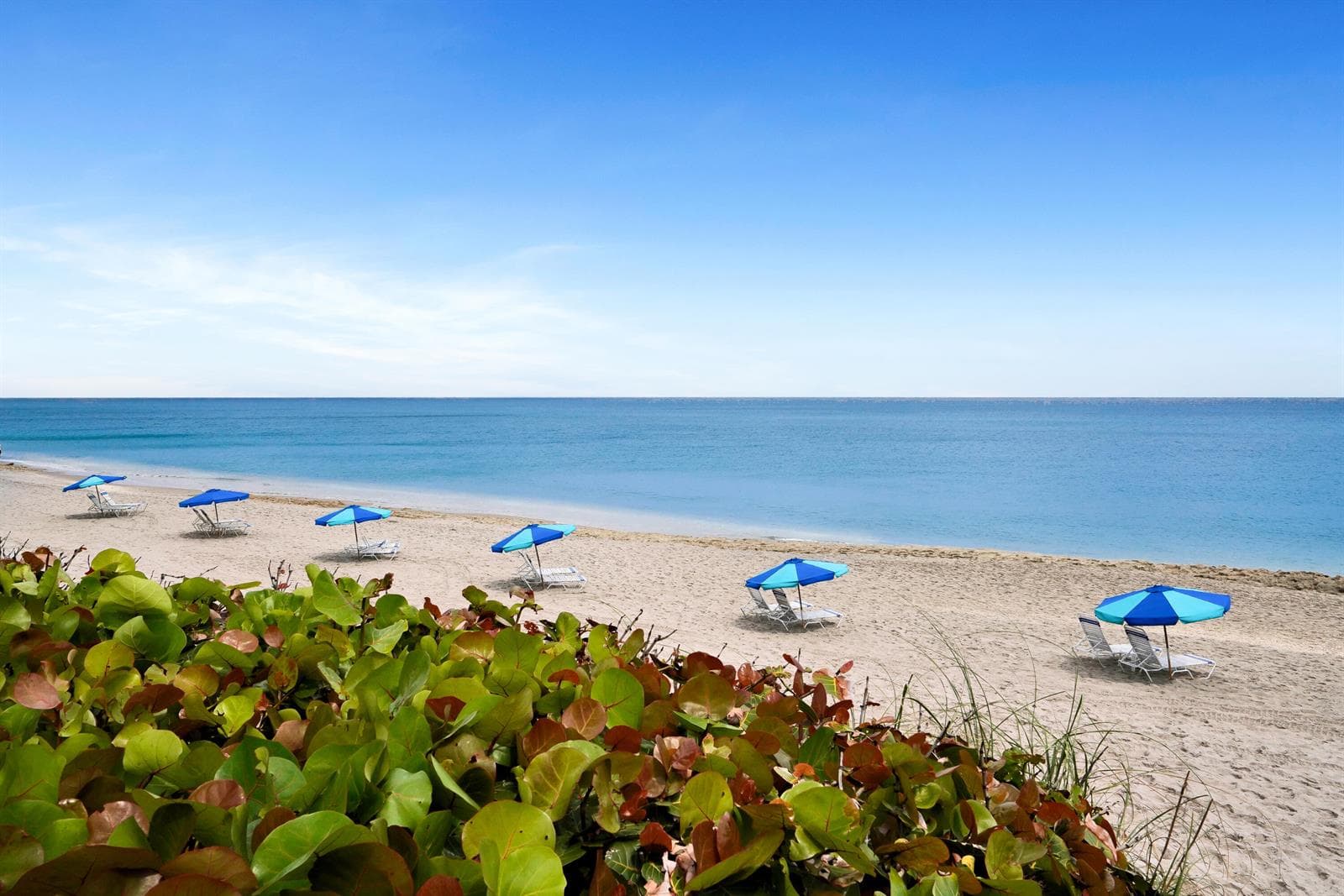 4100 N Ocean Drive # 803, Singer Island, FL 33404 photo 5