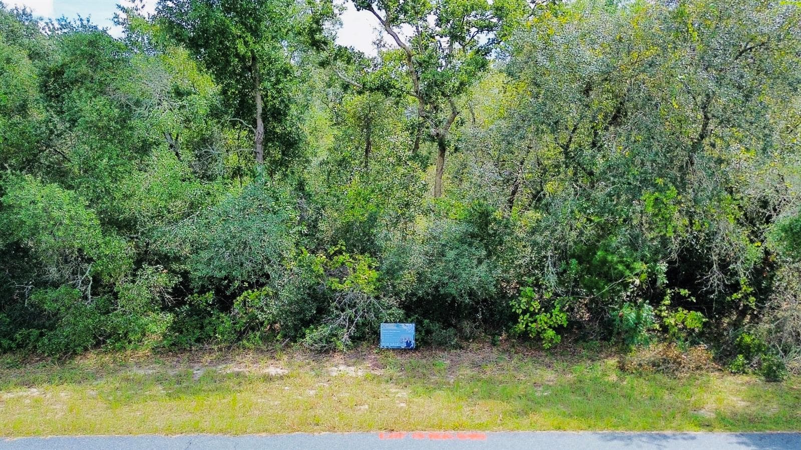 Tbd SW 37th Avenue, Ocala, FL 34473 photo 2