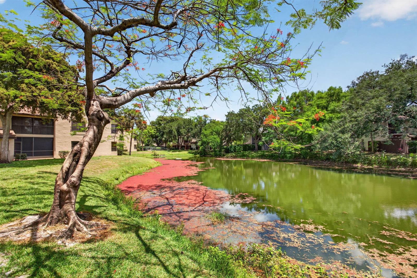 3713 Cocoplum Circle # 3545, Coconut Creek, FL 33063 photo 4
