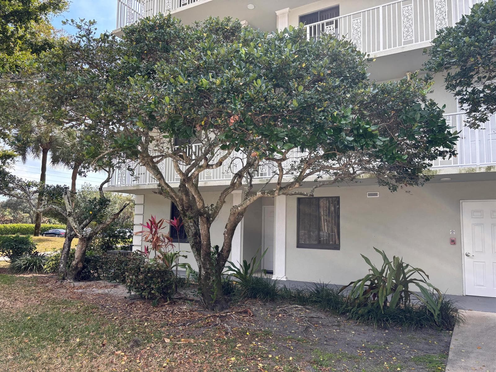 2561 Village Boulevard # 101, West Palm Beach, FL 33409 photo 3