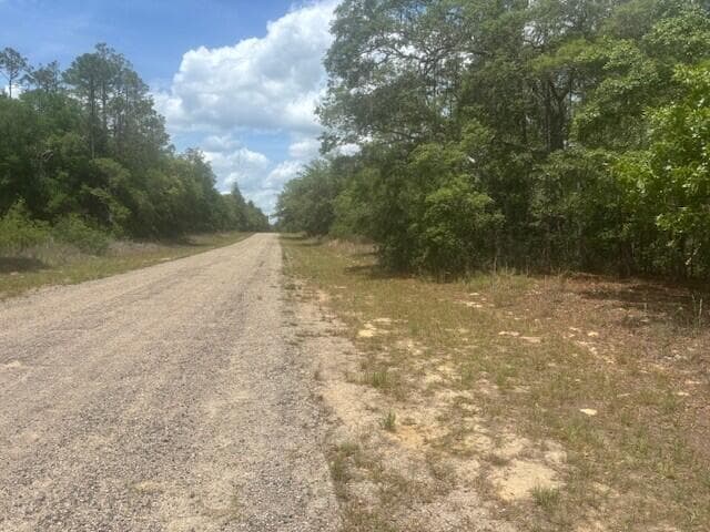 8593 N Bambury Terrace, FL 34434 photo 2