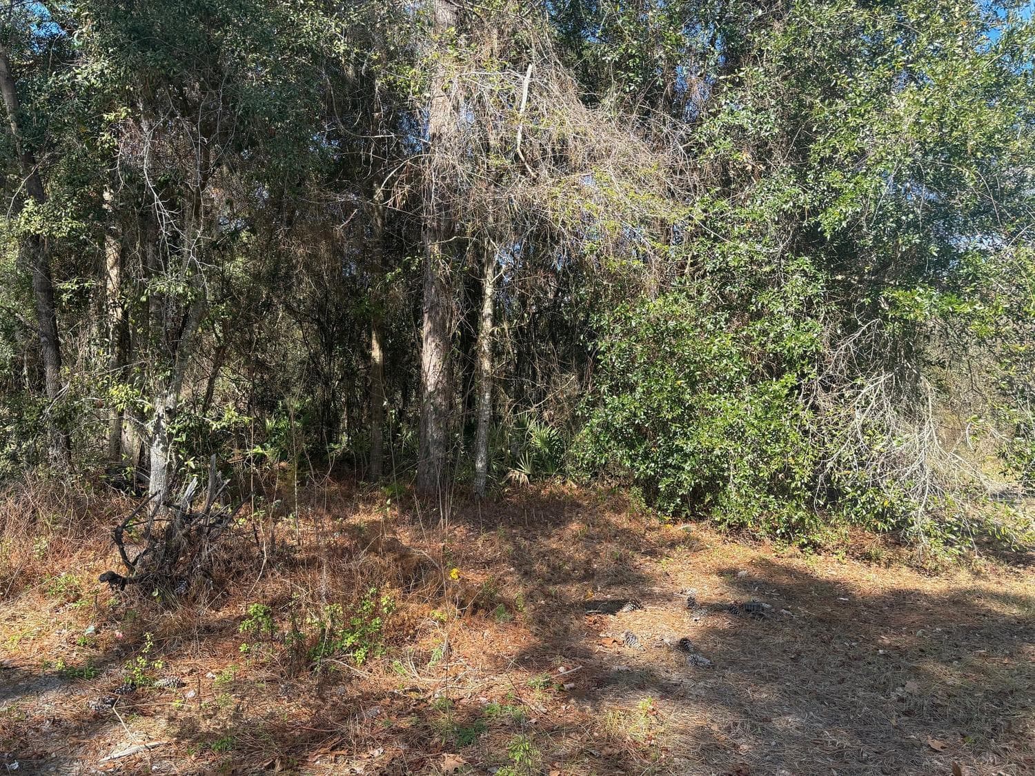 7178 W Wildfire Lane, FL 34448 photo 2