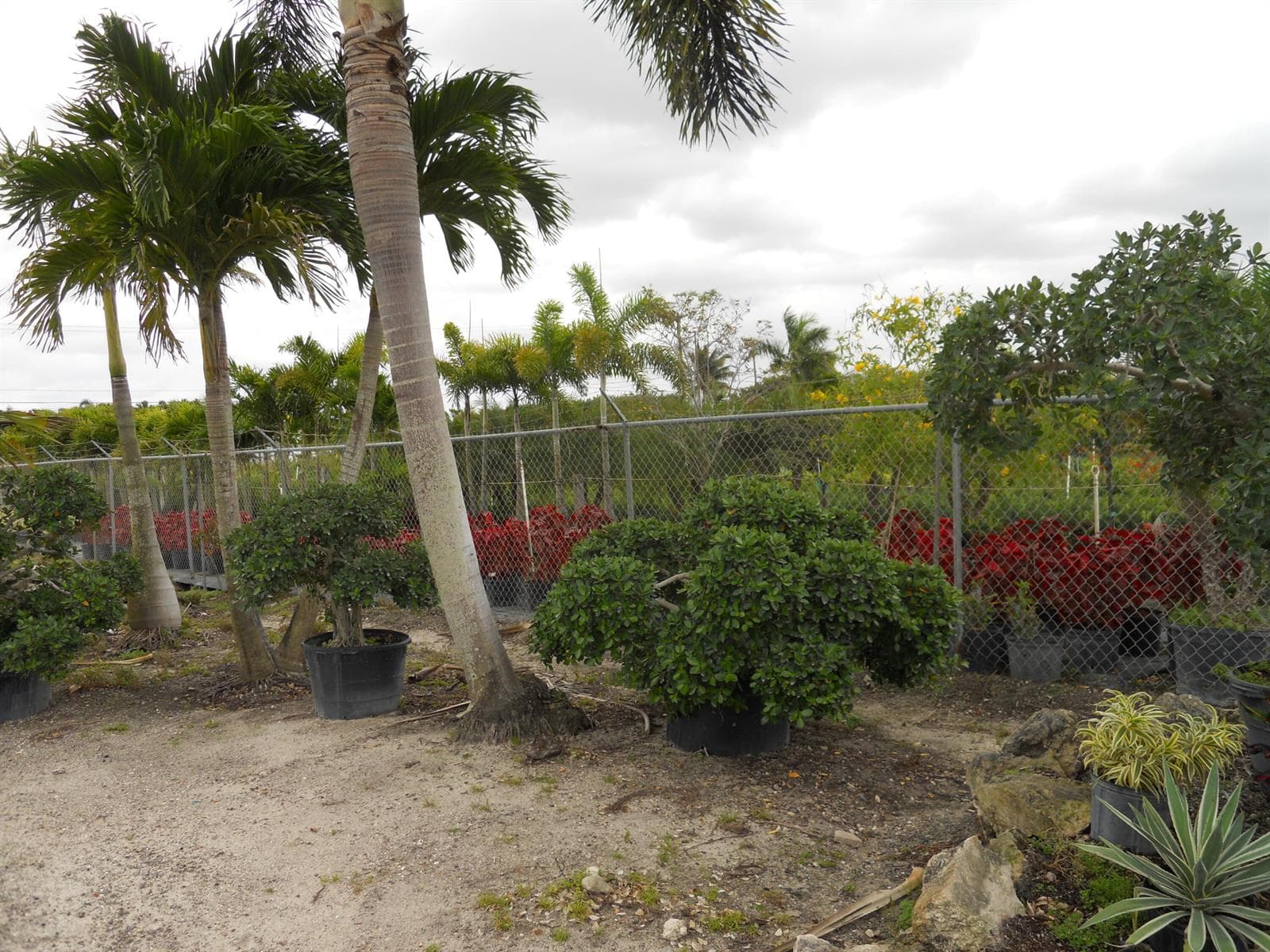 0000 Boynton Beach Blvd, Boynton Beach, FL 33472 photo 5