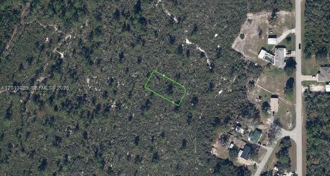 1425 Doolittle St, Lake Placid, FL 33852