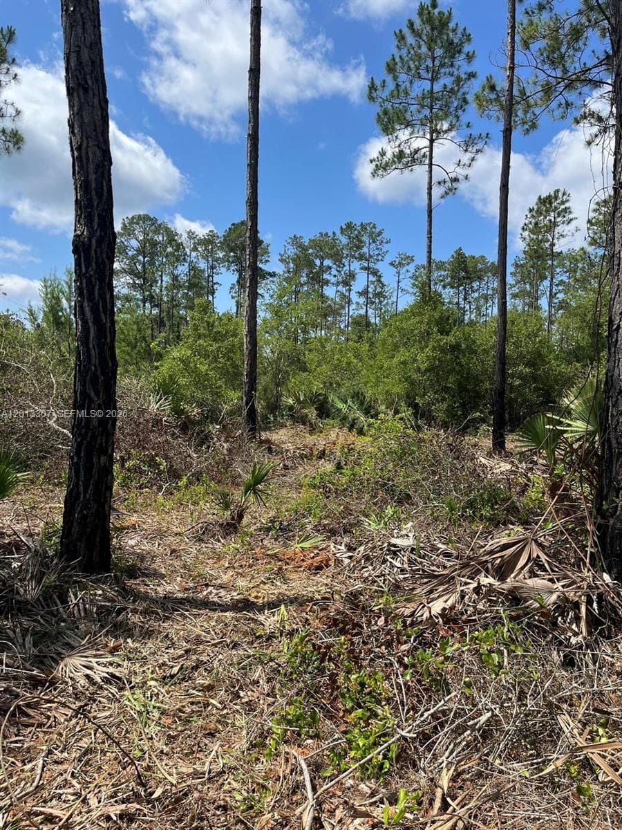 117 Lodge Pole Cir, Other City - In The State Of Florida, FL 32139