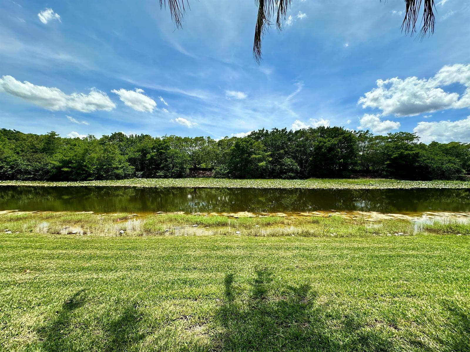 386 Carrington Drive, Weston, FL 33326 photo 4