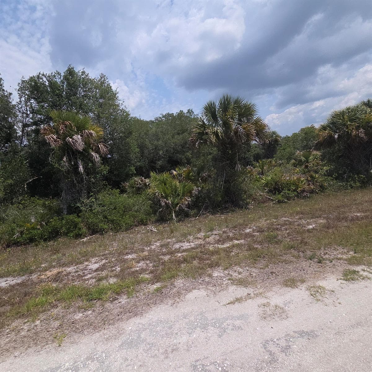 15777 NW 306th Street, Okeechobee, FL 34972 photo 2