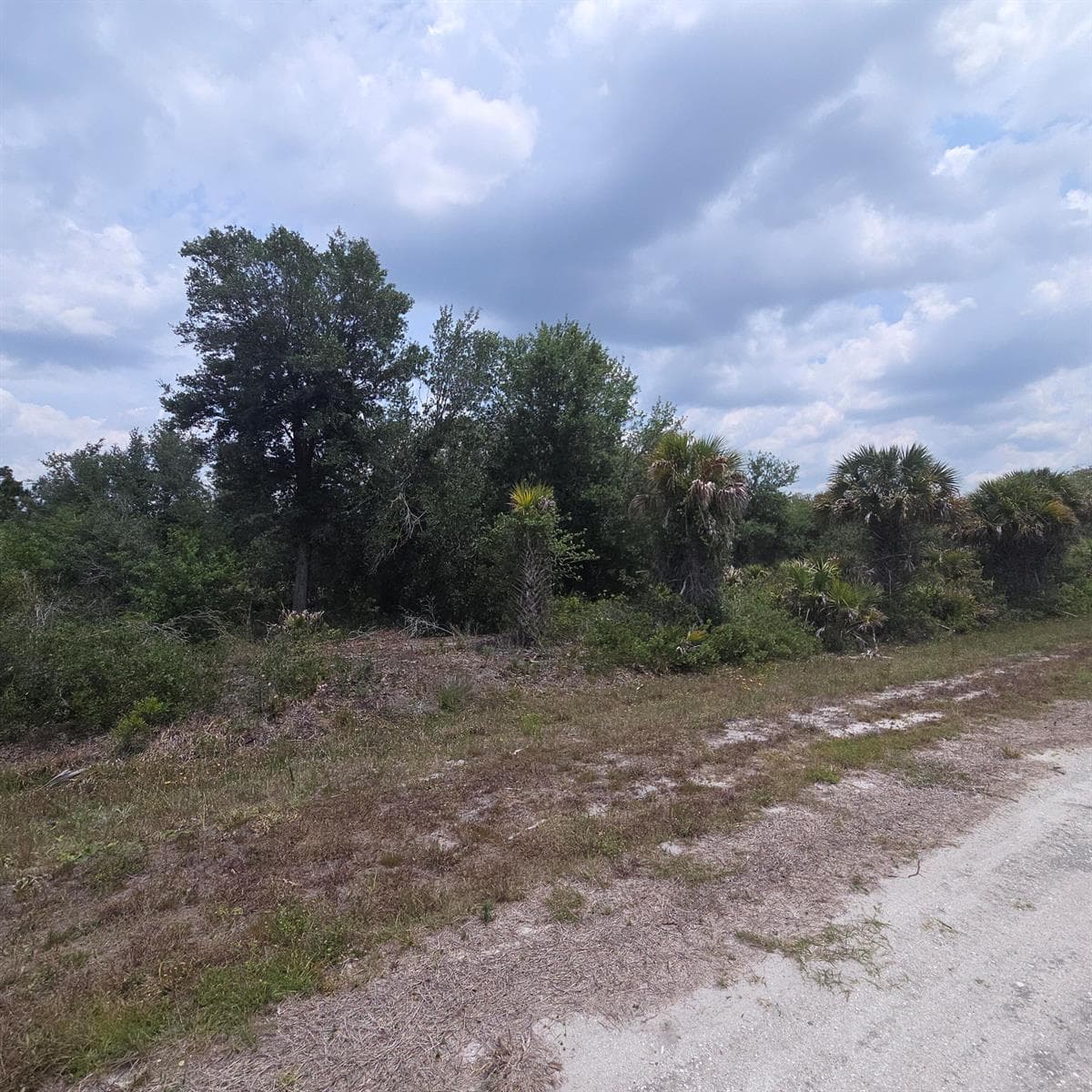 15777 NW 306th Street, Okeechobee, FL 34972 photo 3
