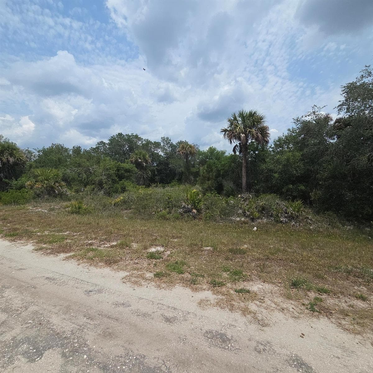 15777 NW 306th Street, Okeechobee, FL 34972 photo 5