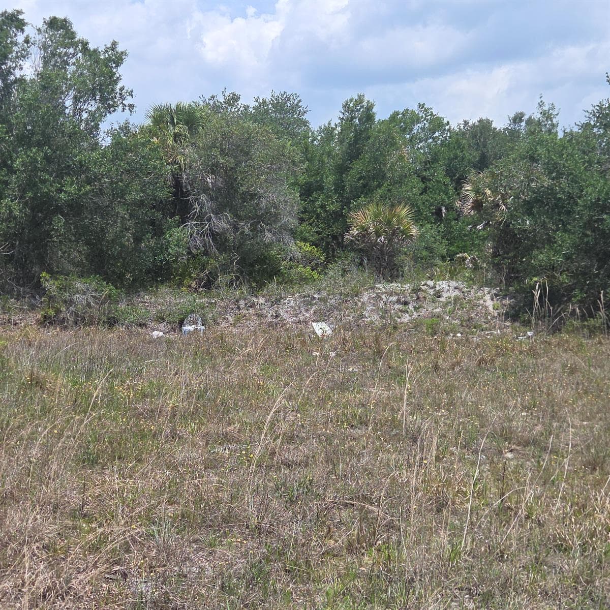 15777 NW 306th Street, Okeechobee, FL 34972 photo 4