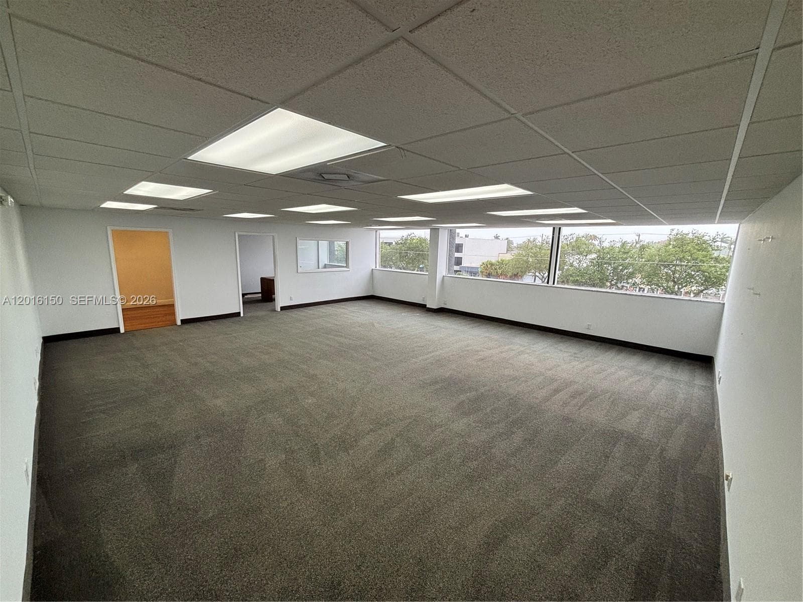 2727 E Oakland Park Blvd # 305, Fort Lauderdale, FL 33306