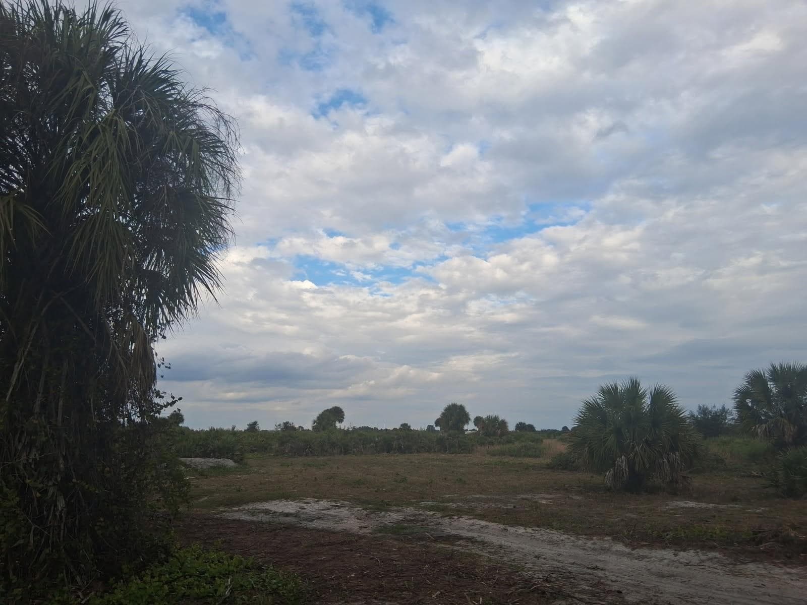 21583 NW 274th Street, Okeechobee, FL 34972 photo 2