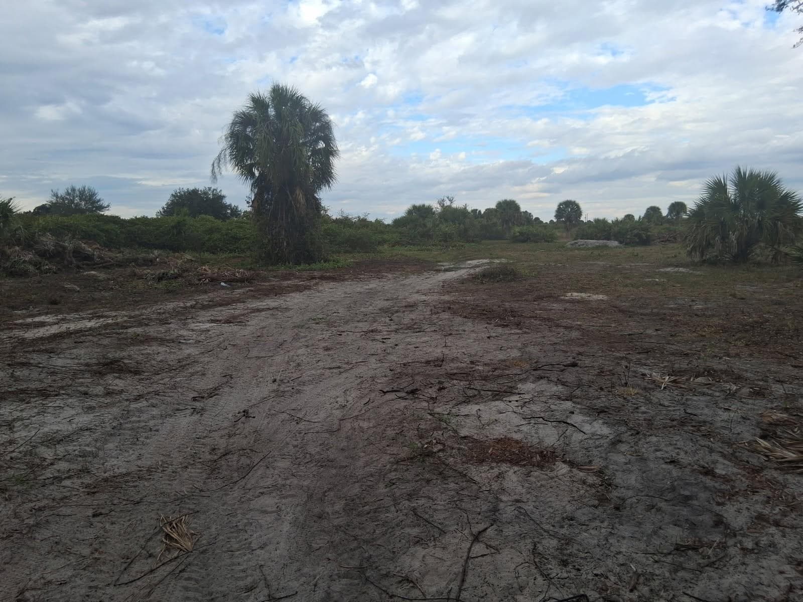 21583 NW 274th Street, Okeechobee, FL 34972 photo 3