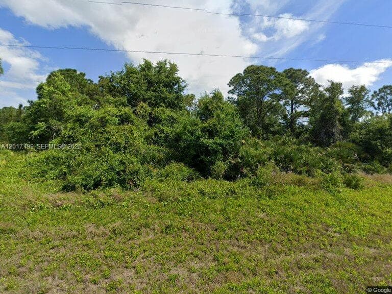 1518 Mangrove Street, Lake Placid, FL 33852