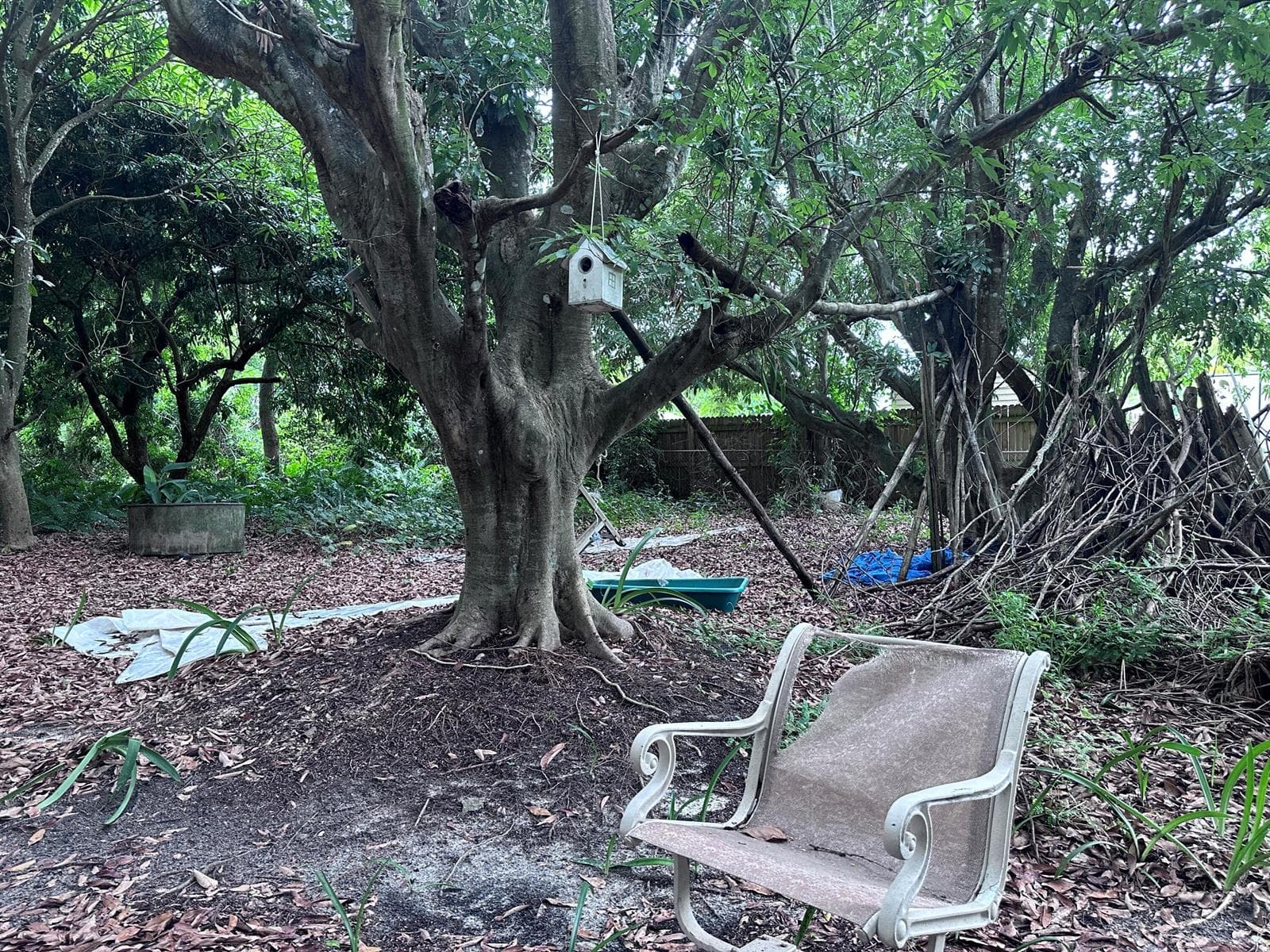 0000 NW 7th Court, Boynton Beach, FL 33426 photo 3