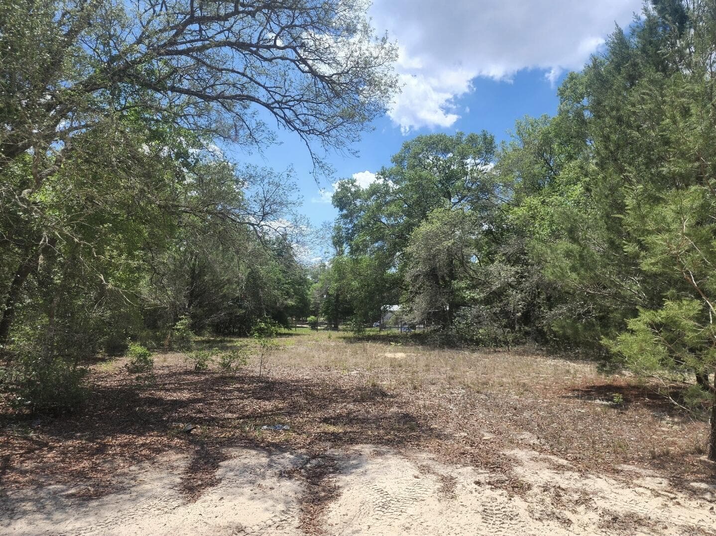 3199 Lich Street, Port Charlotte, FL 33980 photo 4