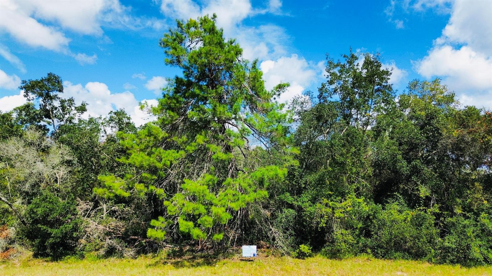 Tbd SW 37th Circle, Ocala, FL 34473 photo 2