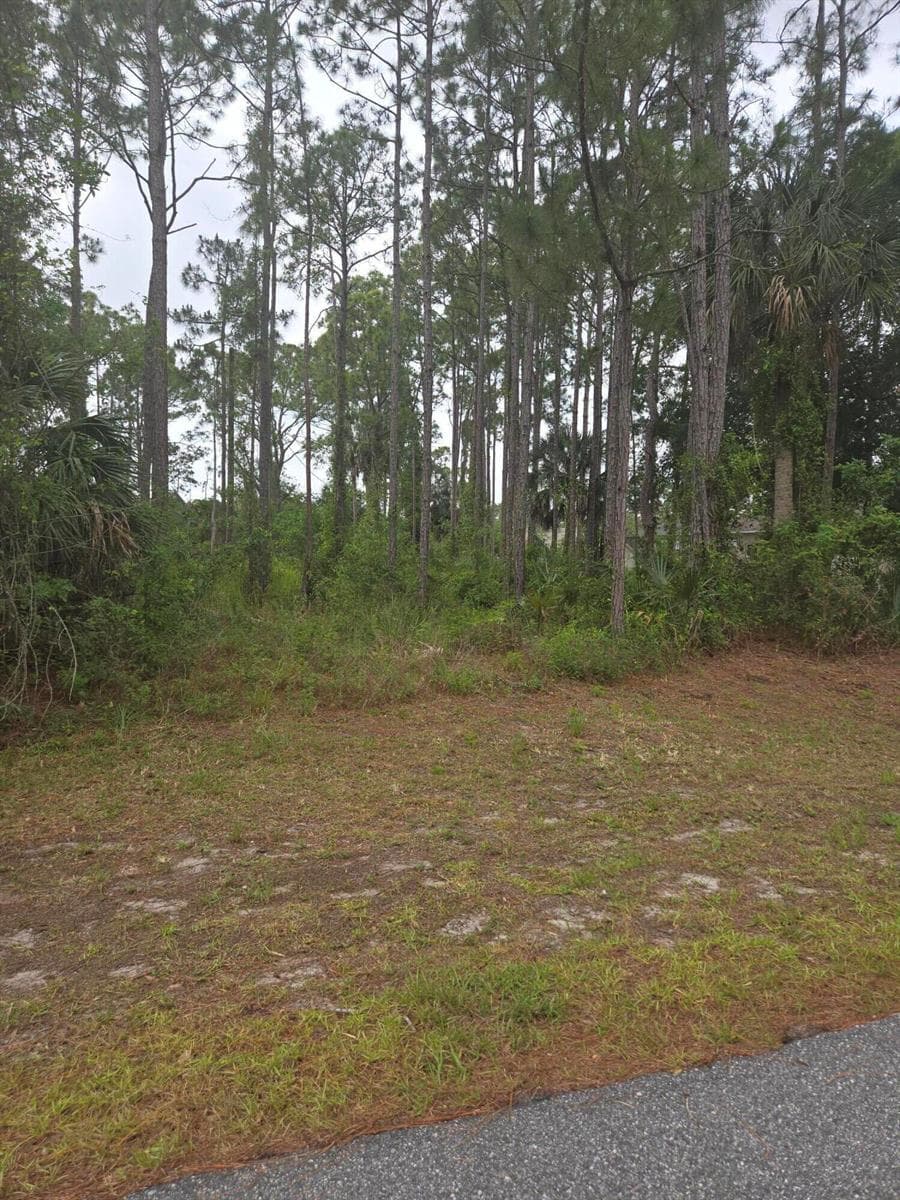 1836 Pindo Court NW, Palm Bay, FL 32909 photo 2