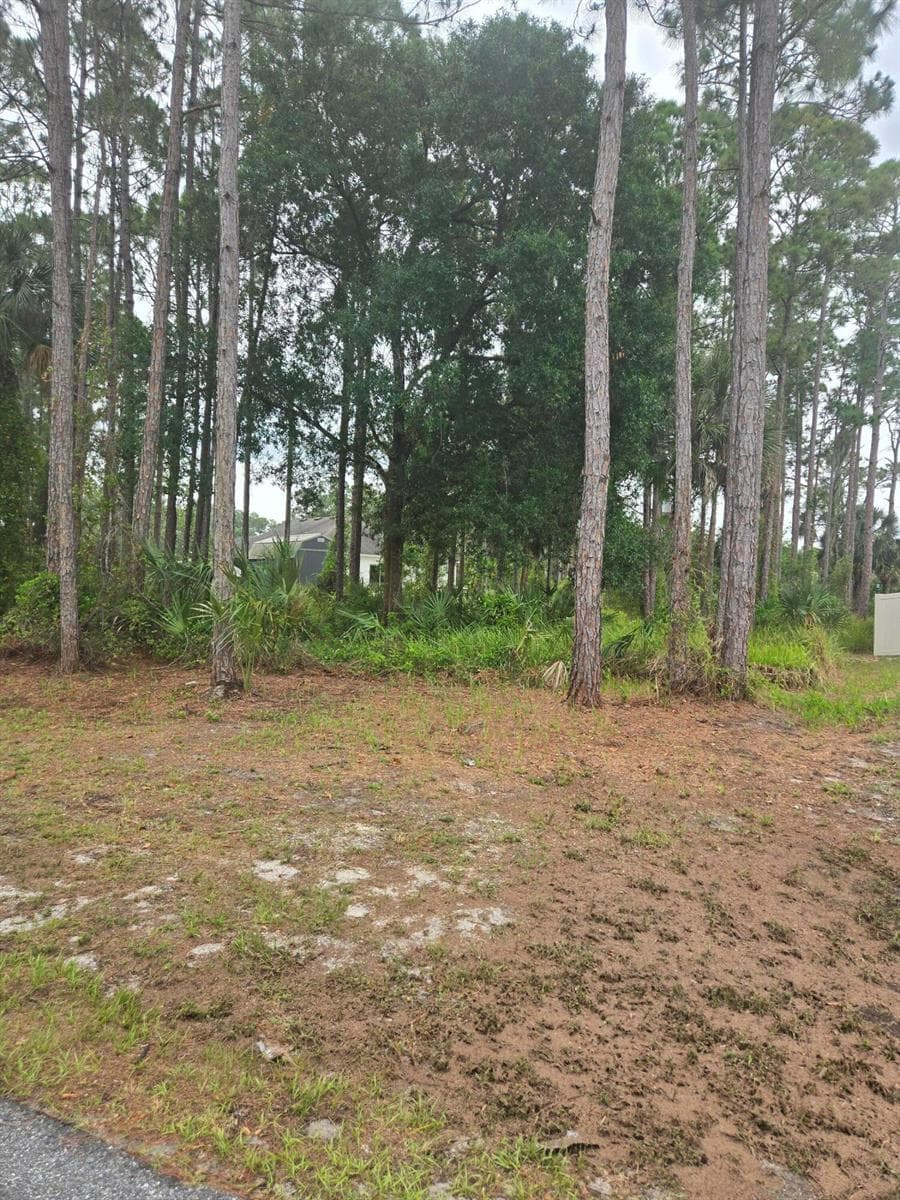 1836 Pindo Court NW, Palm Bay, FL 32909 photo 3