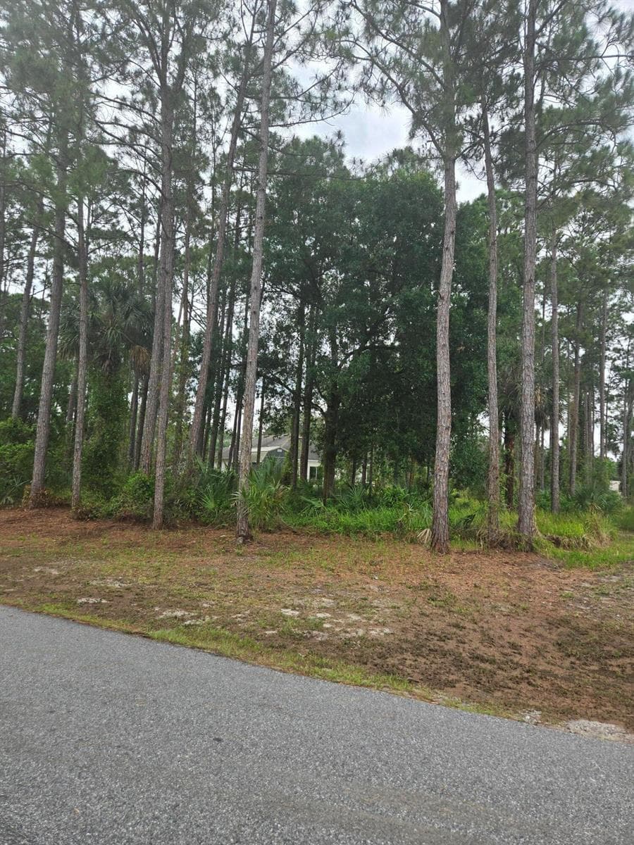 1836 Pindo Court NW, Palm Bay, FL 32909 photo 5