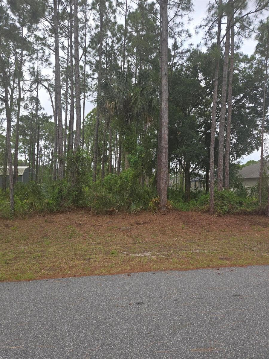 1836 Pindo Court NW, Palm Bay, FL 32909 photo 4