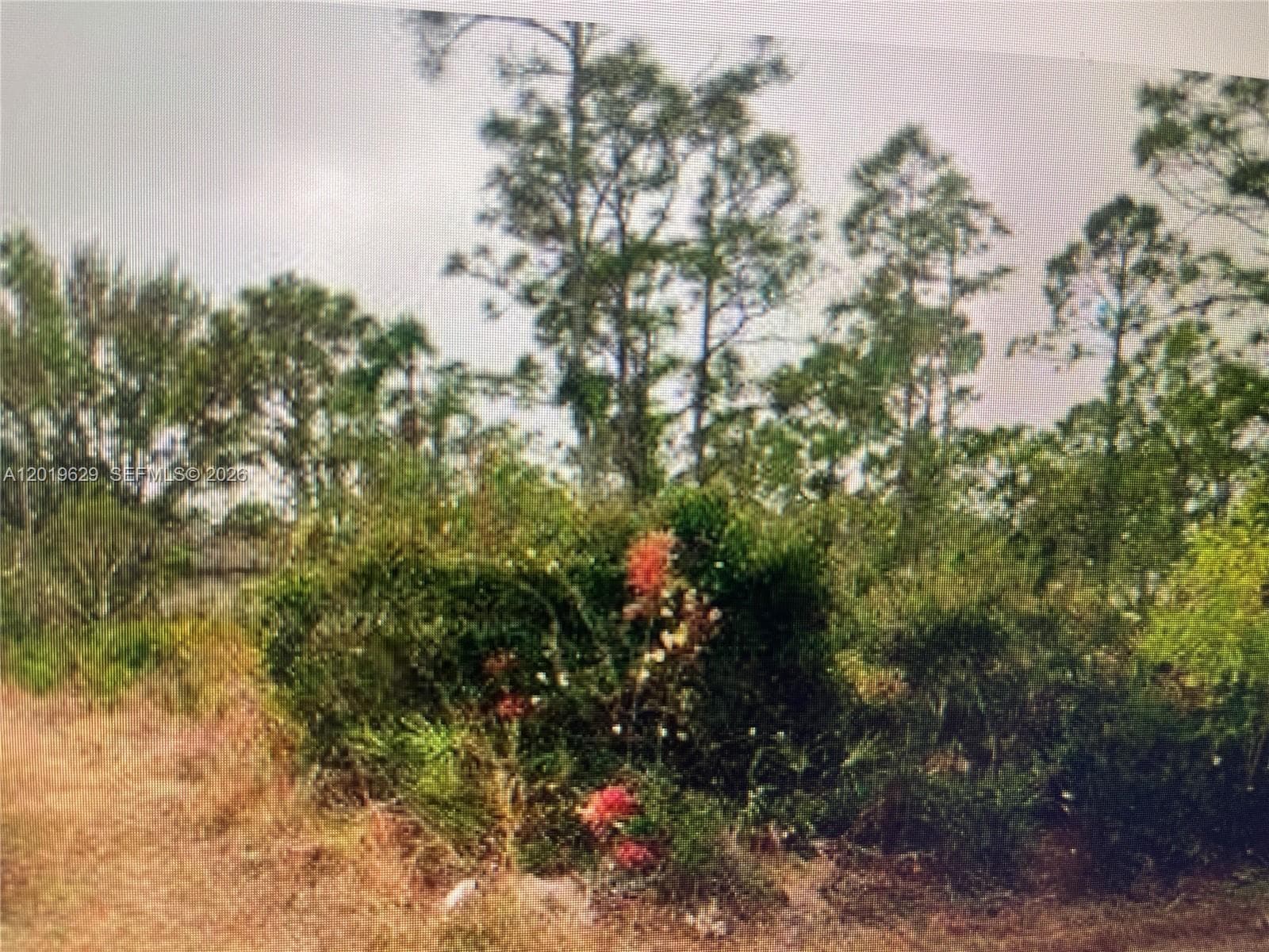27183 N TWIN LAKES DR, Punta Gorda, FL 33955