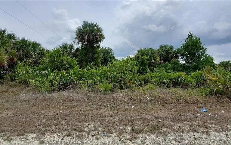 523 Montclair ave s, Lehigh Acres, FL 33974 photo 3