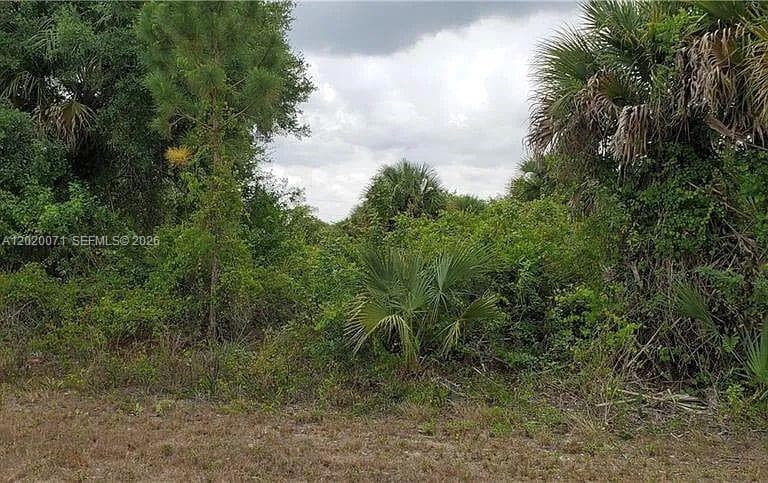 523 Montclair ave s, Lehigh Acres, FL 33974 photo 4